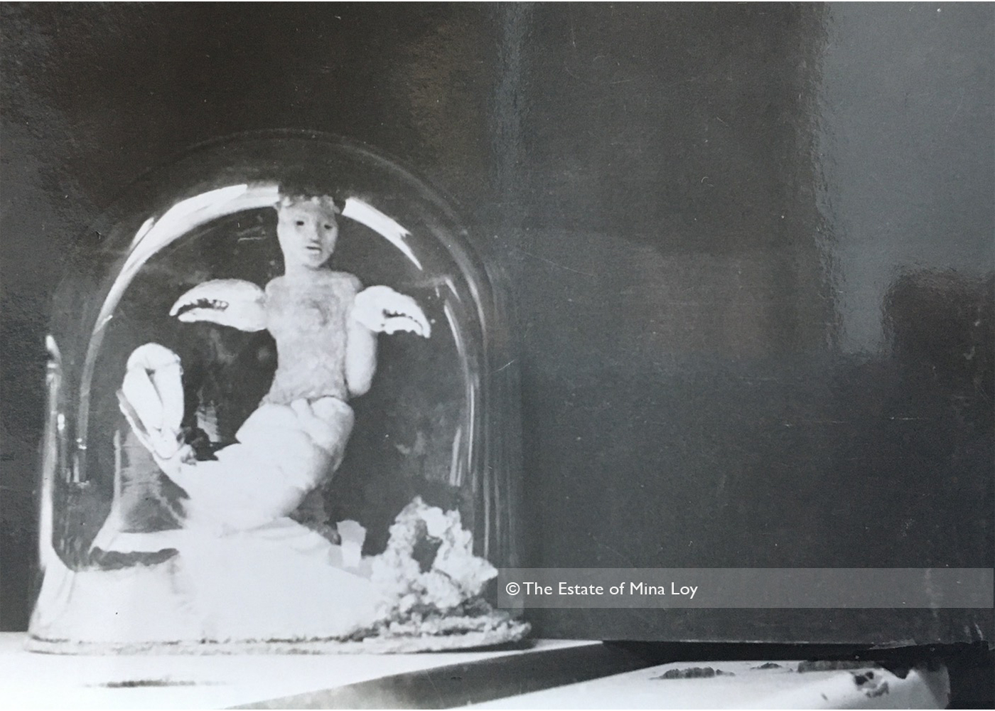 half lobster half boy sculpture in a glass bell jar