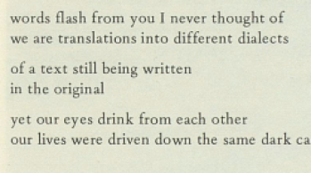 excerpt from Adrienne Rich poem